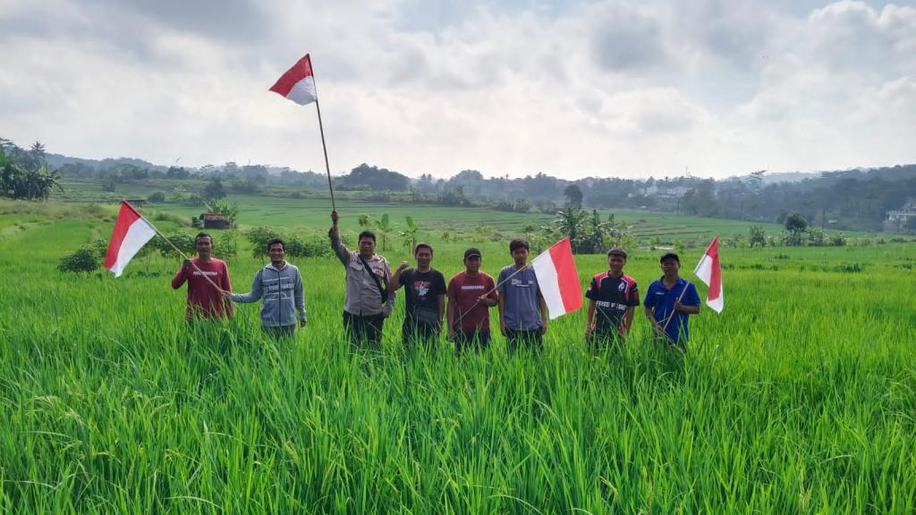 Seribu Bendera Merah Putih Hiasi Sawah di Pasanggrahan Tasikmalaya Sambut HUT ke-80 RI