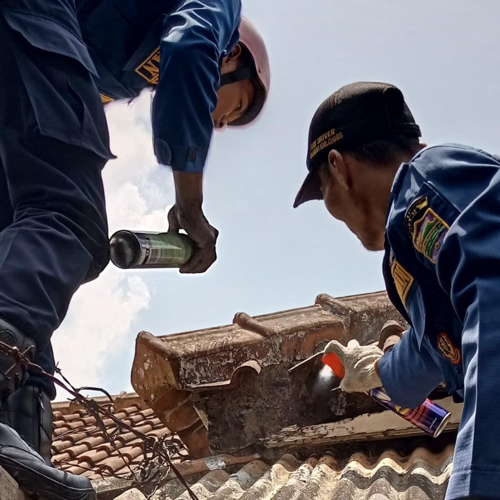 Setelah Bancet, Kini Petugas Damkar Ciamis Evakuasi Gerombolan Semut yang Kepung Rumah Warga