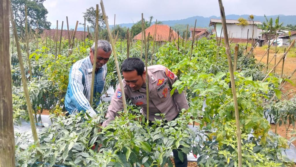 Sinergi TNI-Polri dan Warga Cibeureum Sukamantri, Dukung Program Ketahanan Pangan Nasional