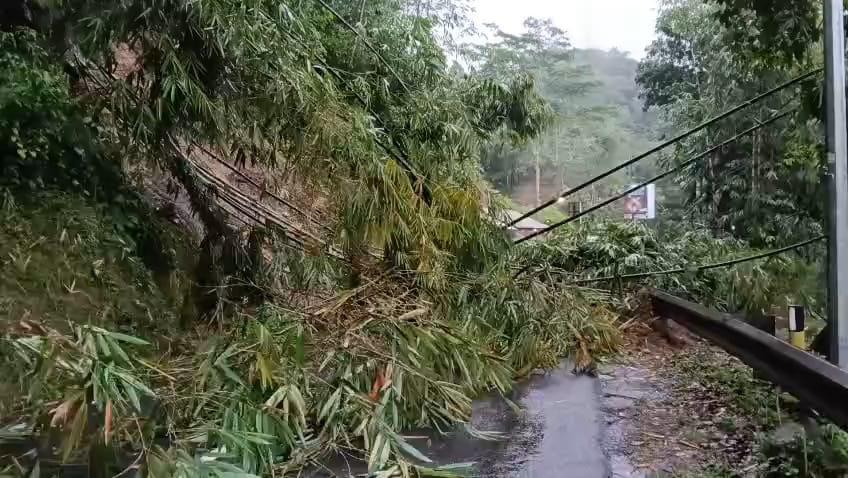 Tebing Longsor Tutup Jalan Raya Garut-Tasikmalaya, Arus Lalin Terputus