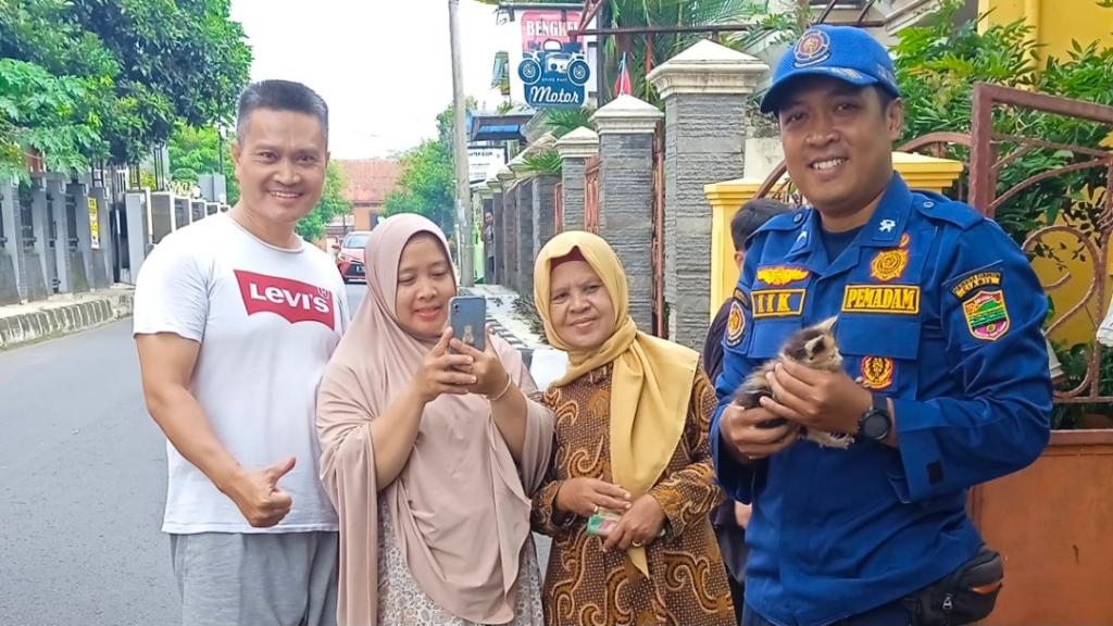 Tiga Hari Terkurung di Gorong-Gorong, Anak Kucing Diselamatkan Petugas Damkar Ciamis