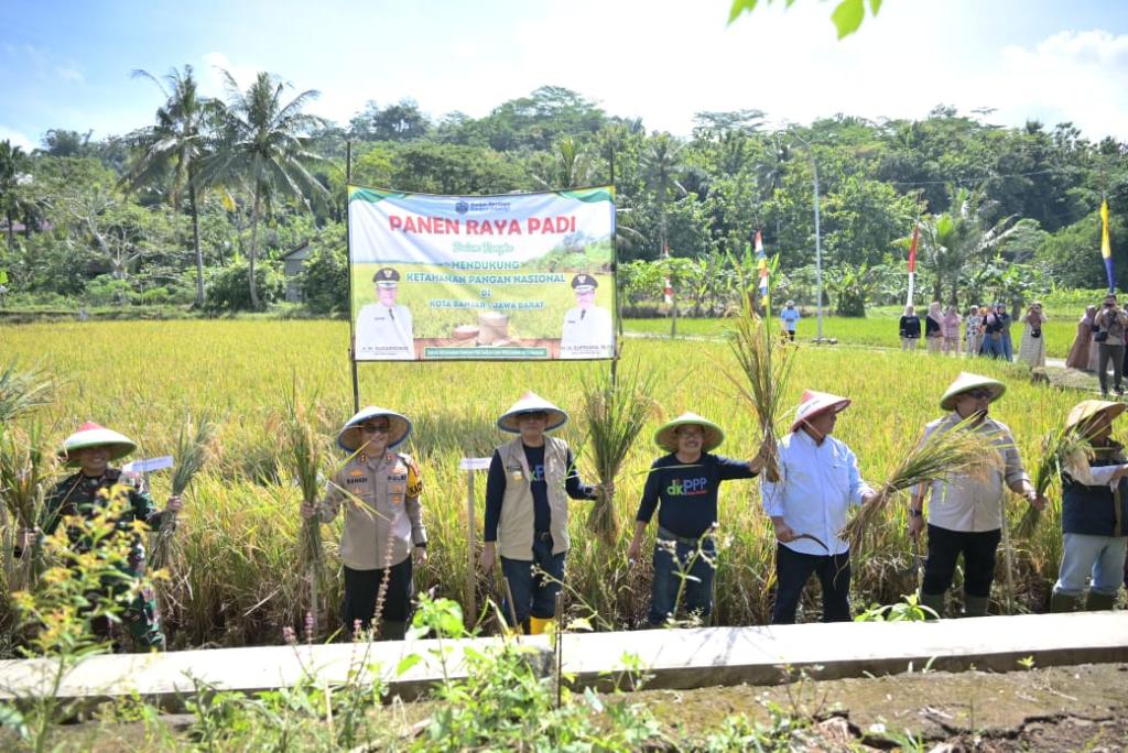 Wali Kota Banjar Dukung Petani Jaga Ketahanan Pangan saat Panen Raya