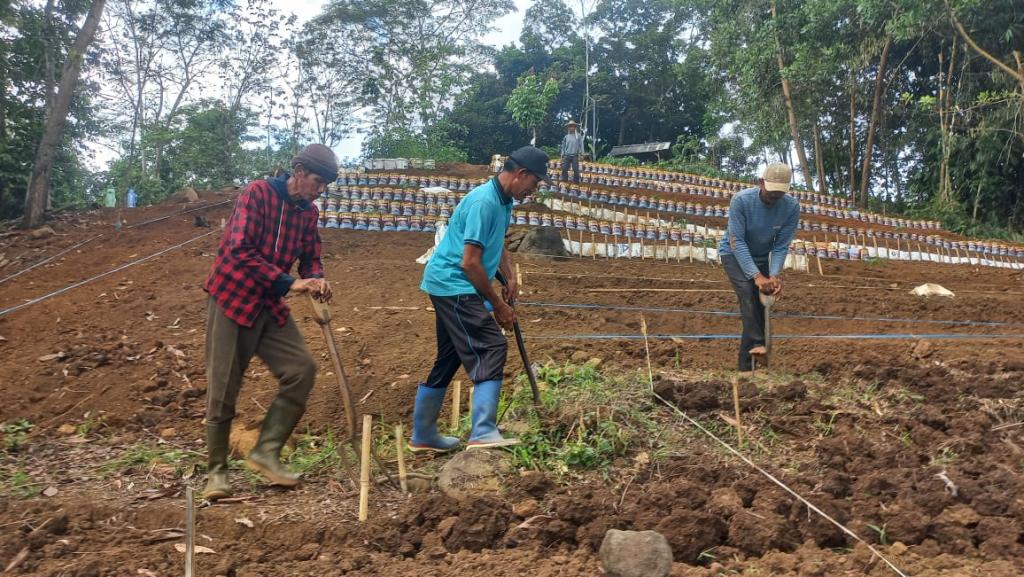 Warga Sukapura Sulap Lahan Terbengkalai dan Limbah Plastik Menjadi Kebun Produktif