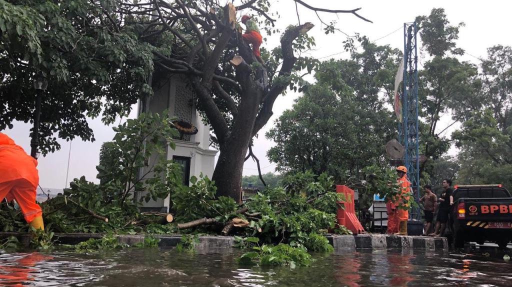 Waspada Cuaca Ekstrem, BPBD Kota Tasikmalaya: Hindari Berteduh di Bawah Pohon Lapuk