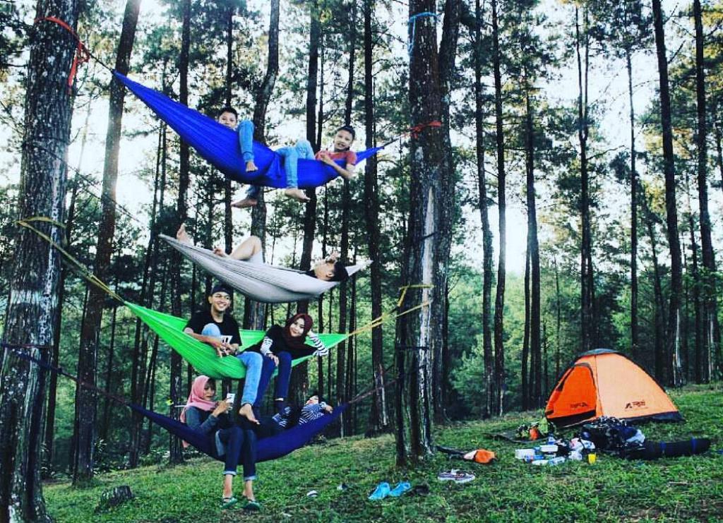 Hutan Pinus Darmacaang Ciamis, Rekomendasi Wisata Alam yang Tepat untuk Liburan Akhir Pekan