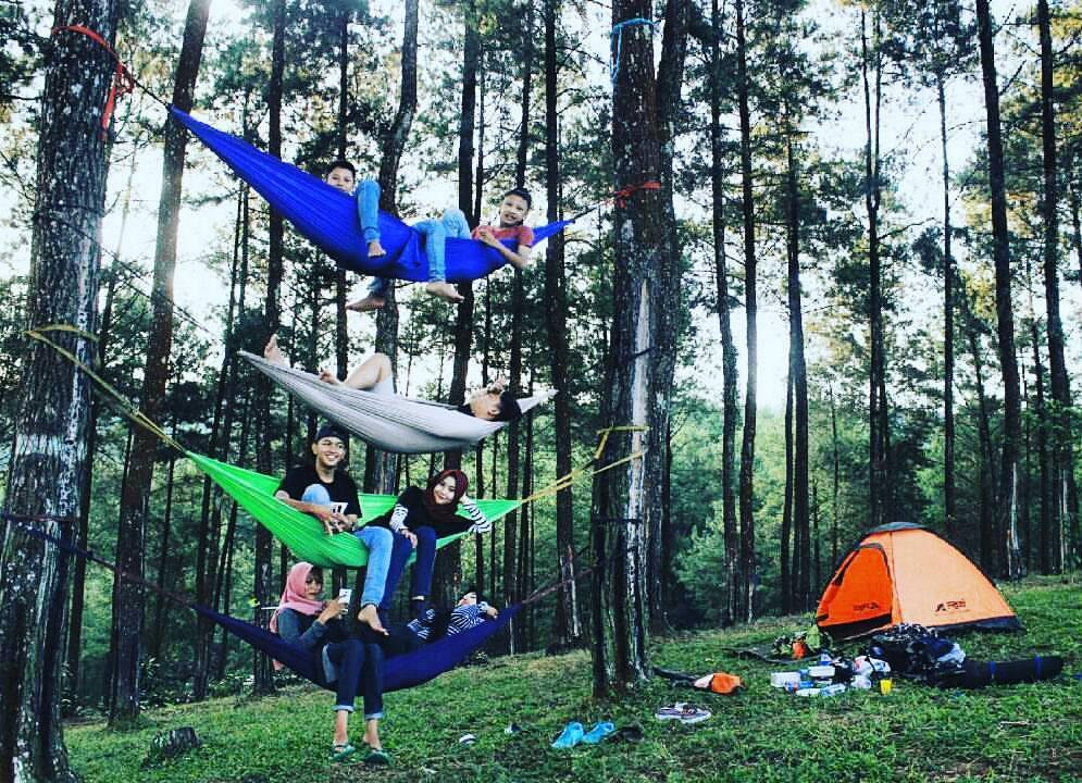 Hutan Pinus Darmacaang Ciamis, Rekomendasi Wisata Alam yang Tepat untuk Liburan Akhir Pekan