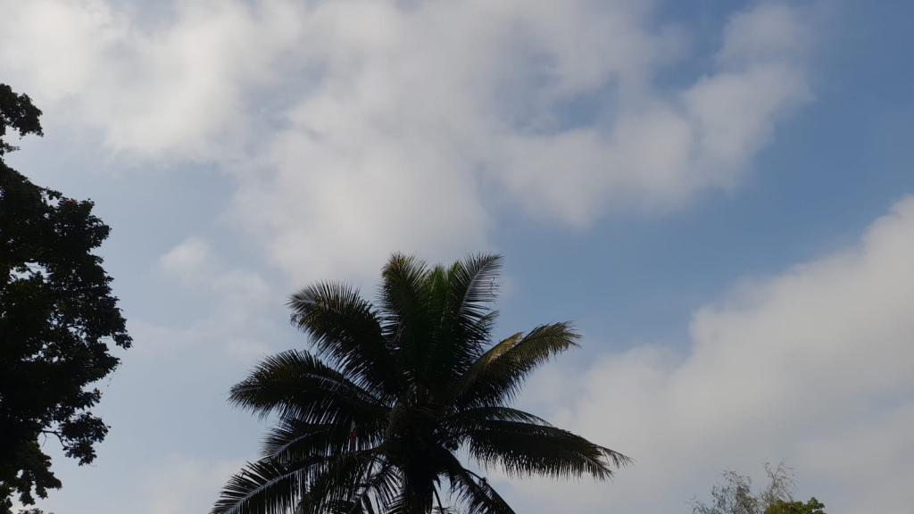 Prakiraan Cuaca Kabupaten Pangandaran Hari Ini, Kamis 16 April 2026