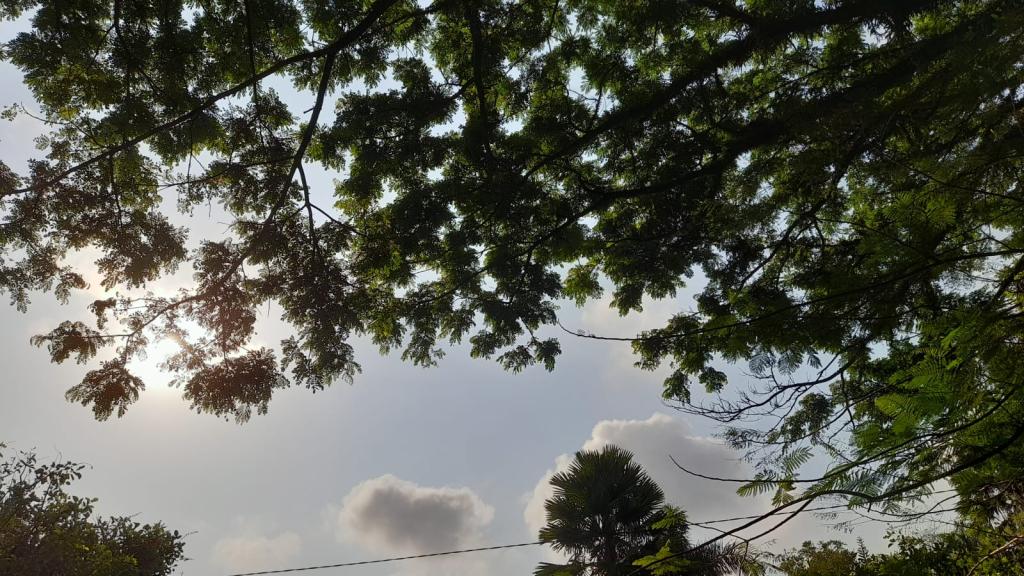 Prakiraan Cuaca Kabupaten Garut Hari Ini, Sabtu 18 April 2026