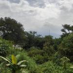 Prakiraan Cuaca Kabupaten Tasikmalaya Hari Ini, Senin 20 April 2026