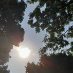 Prakiraan Cuaca Kabupaten Pangandaran Hari Ini, Kamis 23 April 2026