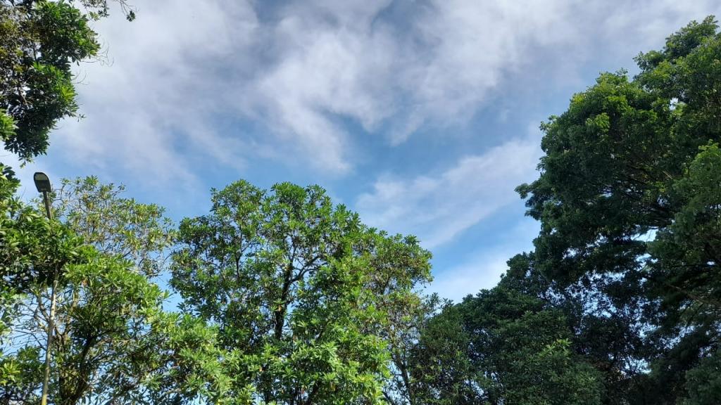 Prakiraan Cuaca Kabupaten Tasikmalaya Hari Ini, Jumat 24 April 2026