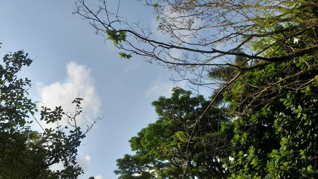 Prakiraan Cuaca Kabupaten Ciamis Hari Ini, Sabtu 25 April 2026