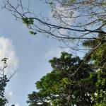 Prakiraan Cuaca Kabupaten Ciamis Hari Ini, Sabtu 25 April 2026