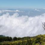 Prakiraan Cuaca Kota Tasikmalaya Hari Ini, Selasa 3 Juni 2025