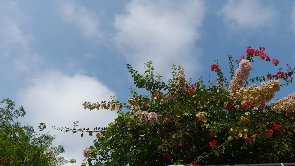 Prakiraan Cuaca Kota Banjar Hari Ini, Selasa 14 April 2026