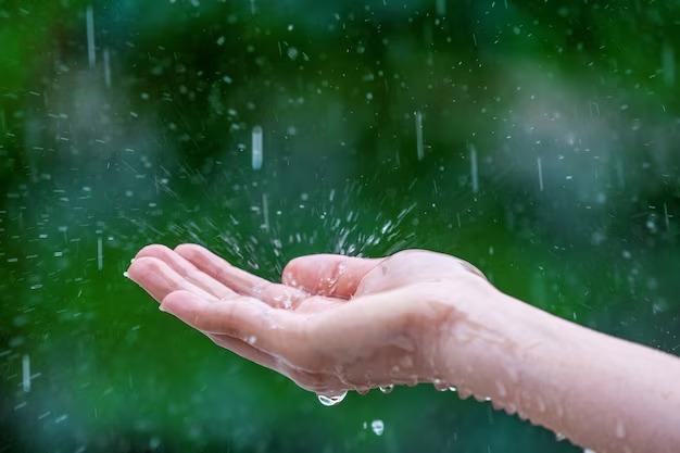 Prakiraan Cuaca Kabupaten Ciamis Hari Ini, Selasa 8 April 2025