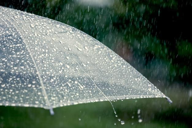 Prakiraan Cuaca Kabupaten Ciamis Hari Ini, Jumat 18 April 2025
