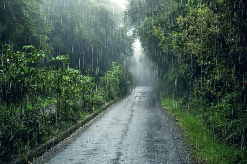 Prakiraan Cuaca Kota Tasikmalaya Hari Ini, Selasa 18 Maret 2025