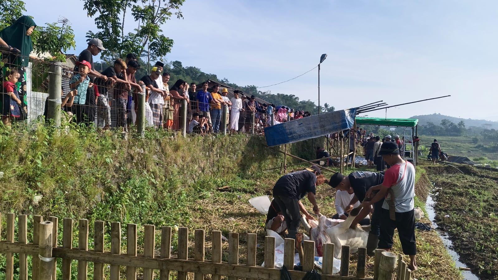 Air Mata dan Kebersamaan Warnai Prosesi Kurban di Kampung Pasanggrahan Tasikmalaya