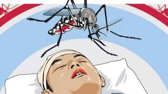 Kasus DBD di Ciamis Capai 279, Satu Anak Meninggal