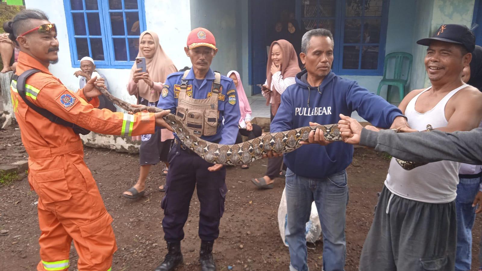 Damkar Kabupaten Tasikmalaya Berhasil Evakuasi Ular Sanca Kembang di Rajapolah