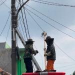 Tiga Warga Tersengat Lebah, Damkar Kota Tasikmalaya Turun Tangan