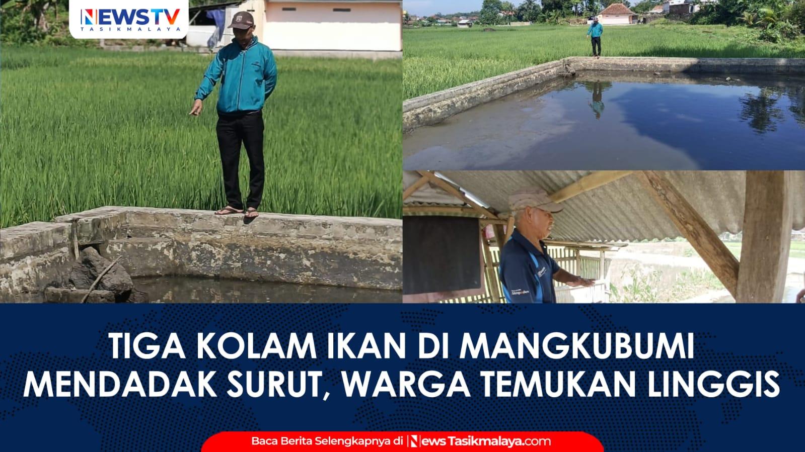 VIDEO: Diduga Aksi Pencurian, Tiga Kolam Ikan di Mangkubumi Mendadak Surut, Warga Temukan Linggis