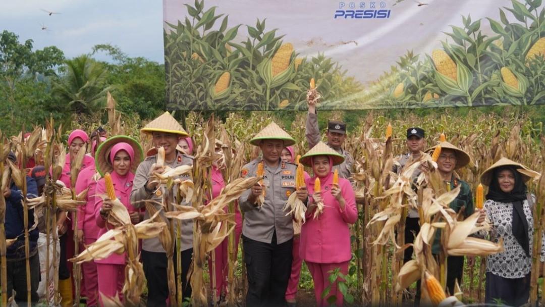 Dukung Swasembada Pangan 2025, Polres Tasikmalaya Kota Gelar Panen Raya Jagung Serentak di Kawalu