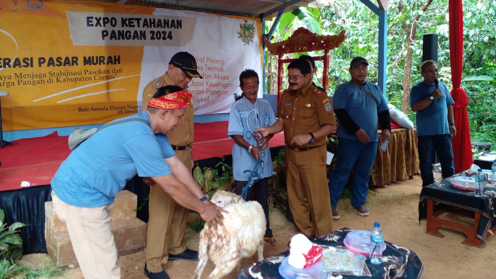 Festival Pisang Desa Kertabumi Ciamis, Mang Iyon Jadi Juara Bawa Pulang Hadiah Domba