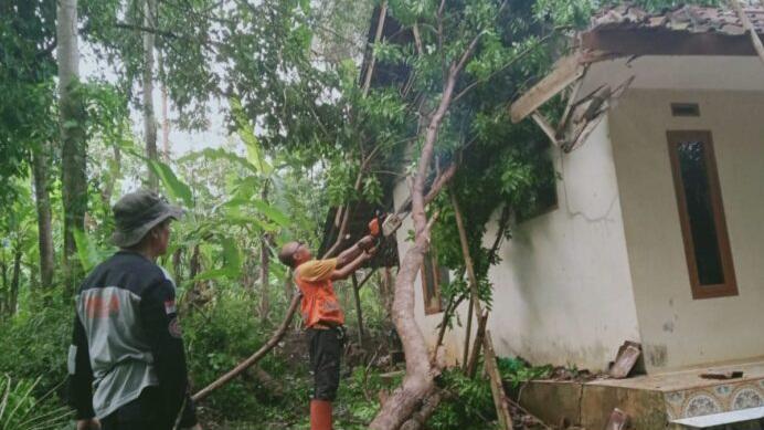 Hujan Deras Disertai Angin Kencang, Rumah Warga di Kota Banjar Rusak Tertimpa Pohon