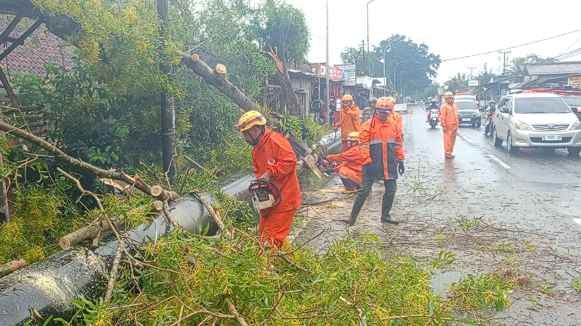 Hujan Disertai Angin Kencang, Pohon Tumbang Tutup Jalan Manonjaya-Cibeureum Tasikmalaya