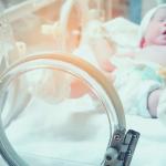 Puskesmas Taraju Benarkan Anak 13 Tahun Melahirkan, Kondisi Ibu dan Bayi Sehat