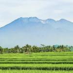 Inilah Ikon Tasikmalaya yang Wajib Kamu Ketahui, Simbol Budaya dan Wisata Priangan Timur