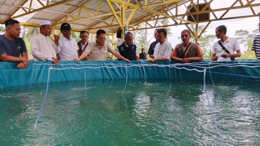 Herry Dermawan Apresiasi Semangat Pemuda Ciamis Kembangkan Budidaya Ikan Bioflok, Dorong Kemandirian Ekonomi Lokal