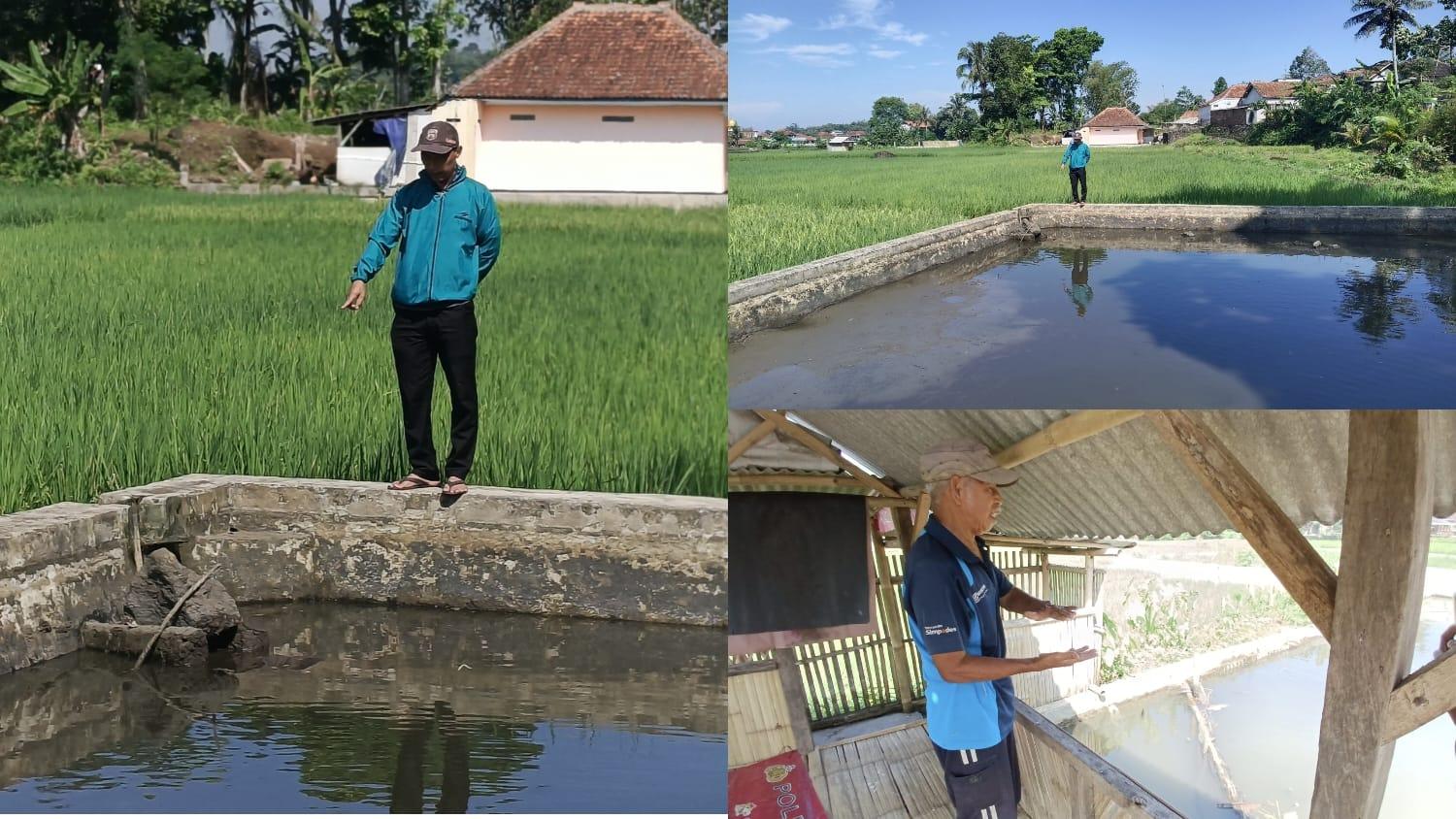 Diduga Aksi Pencurian, Tiga Kolam Ikan di Mangkubumi Mendadak Surut, Warga Temukan Linggis