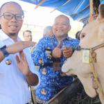 Jelang Iduladha 2025, Pemkot Tasikmalaya Lakukan Pemeriksaan Kesehatan Hewan Kurban