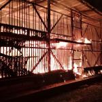 Kebakaran Hebat Hanguskan Kandang Ayam di Cikoneng Ciamis, 60 Ribu Ekor Tewas Terpanggang
