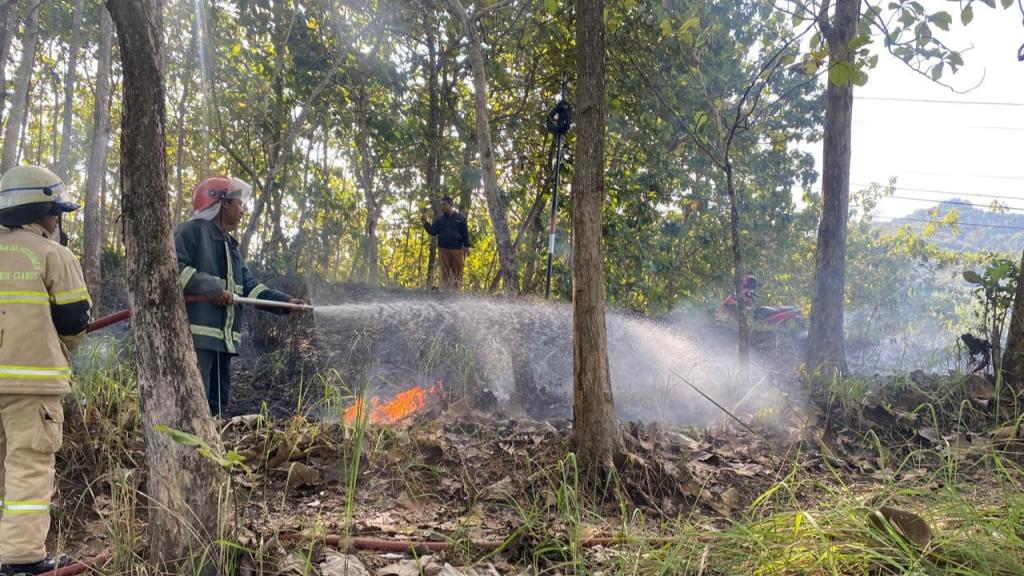 Kebakaran Kebun Jati di Banjaranyar Ciamis, Diduga Disebabkan Puntung Rokok