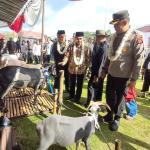Pesta Patok Domba-Kambing 2025 Kembali Digelar, 419 Ekor Ikut Berkompetisi di Tasikmalaya