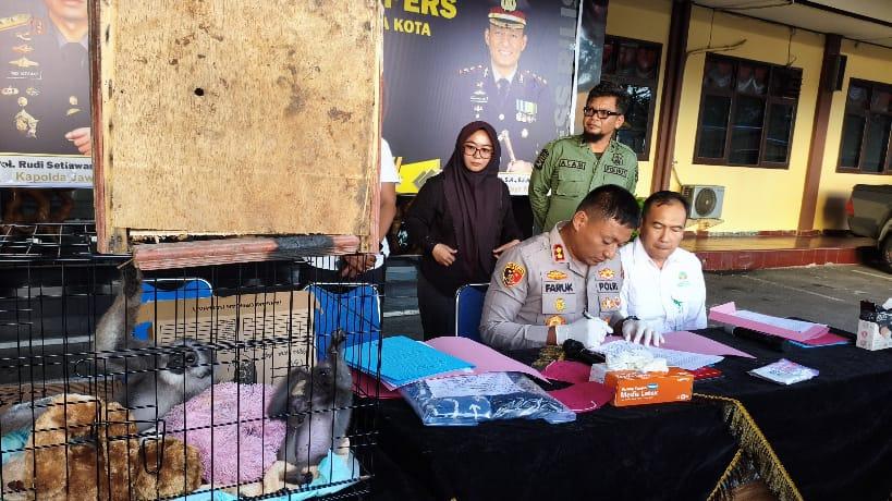 Polres Tasikmalaya Kota Gagalkan Penyelundupan 2 Ekor Owa Jawa, Satwa Langka yang Dilindungi