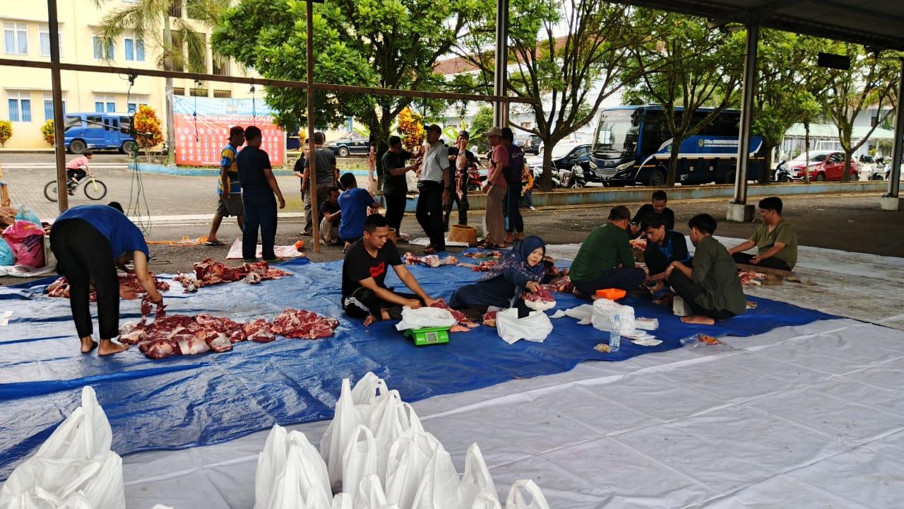 STIKes Muhammadiyah Ciamis Sembelih 3 Sapi Kurban, Bagikan Daging ke Warga Sekitar Kampus
