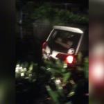 Toyota Calya Ringsek Tertimpa Pohon di Cidahu Cisayong, Sopir Tewas di Tempat