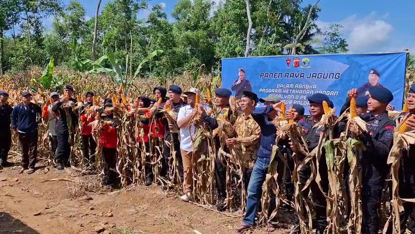 VideoCapture_20250718-132601