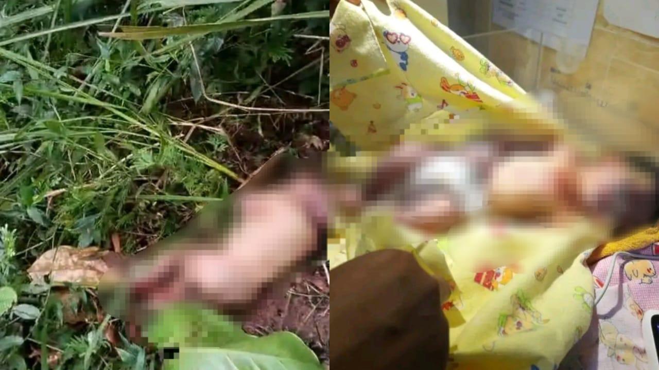 Sempat Gegerkan Warga Rancah Ciamis, Bayi Perempuan yang Ditemukan di Bawah Pohon Jengkol Meninggal