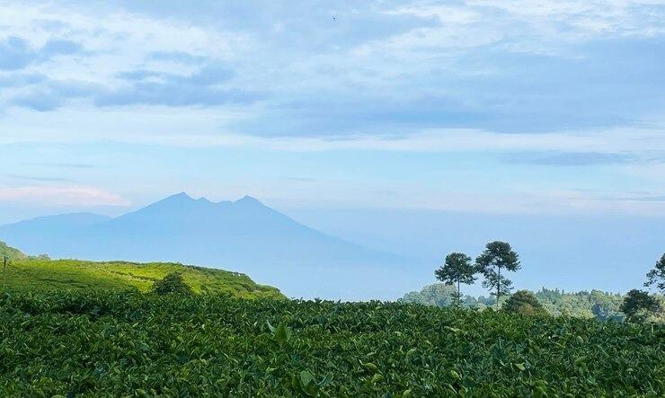 Prakiraan Cuaca Kota Tasikmalaya Hari Ini Jumat 30 Agustus 2024, Pagi Hari Cerah Berawan