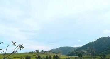 Prakiraan Cuaca Kota Tasikmalaya Hari Ini Rabu 21 Agustus 2024, Siang Hari Cerah Berawan