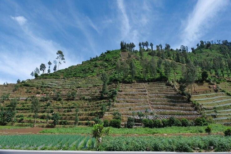 Prakiraan Cuaca Kabupaten Tasikmalaya Hari Ini Sabtu 31 Agustus 2024, Suhu Terendah 18 Derajat Celsius